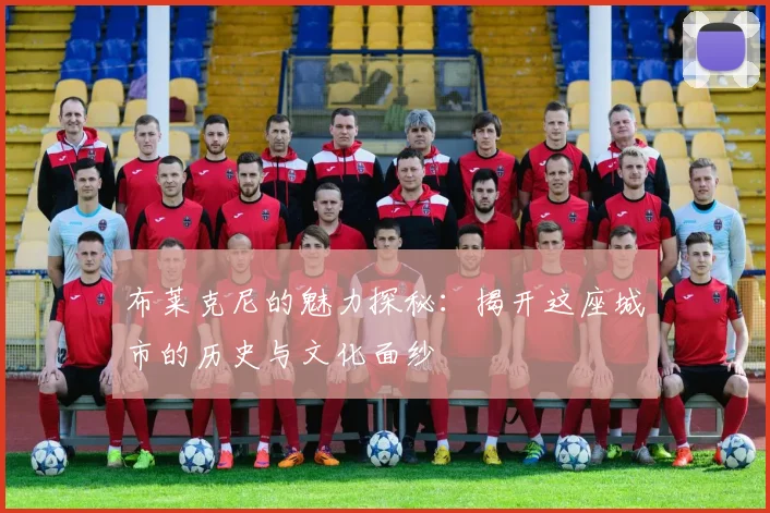 布莱克尼的魅力探秘：揭开这座城市的历史与文化面纱