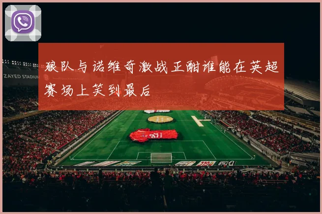 狼队与诺维奇激战正酣谁能在英超赛场上笑到最后