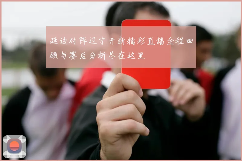 延边对阵辽宁开新精彩直播全程回顾与赛后分析尽在这里