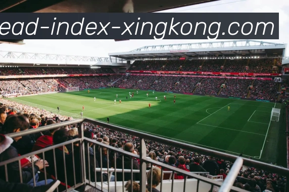 星空体育平台生态图